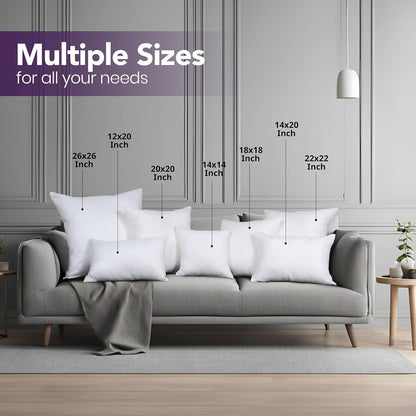 Throw Pillows Insert (Pack of 2, White) - 18 x 18 Inches Bed and Couch Pillows - Indoor Decorative Pillow