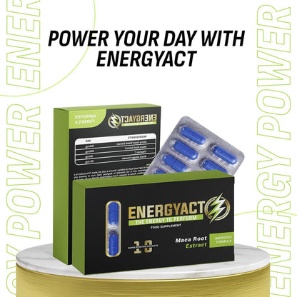 ENERGYACT 10 - Daily Energy & Performance Support